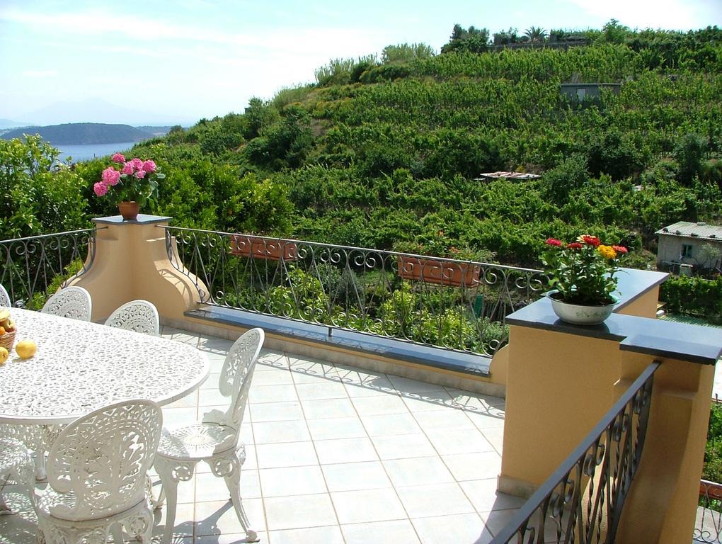 Villa Rosalia Barano d'Ischia Екстер'єр фото